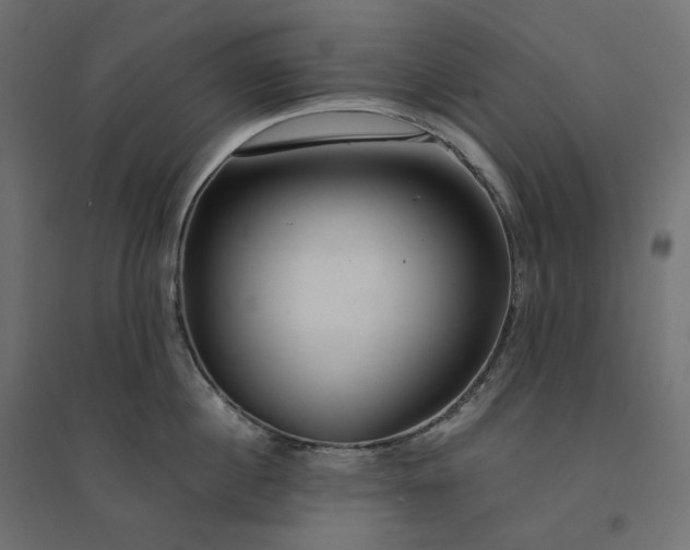 X0000094430860200711211431