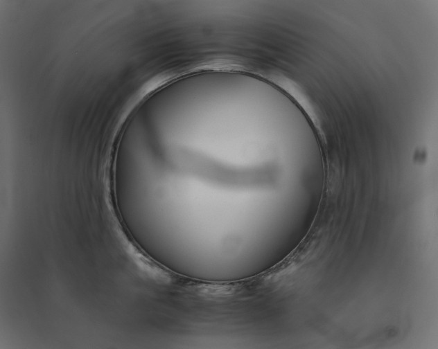 X0000094430861200711211431