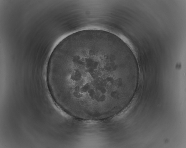 X0000094430862200711211431