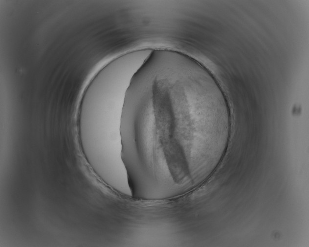 X0000094430864200711211431