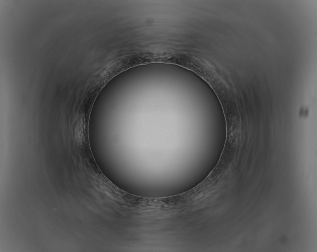 X0000094430866200711211430