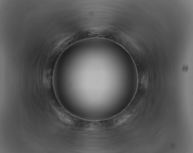 X0000094430868200711211430