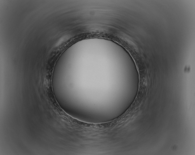 X0000094430869200711211430