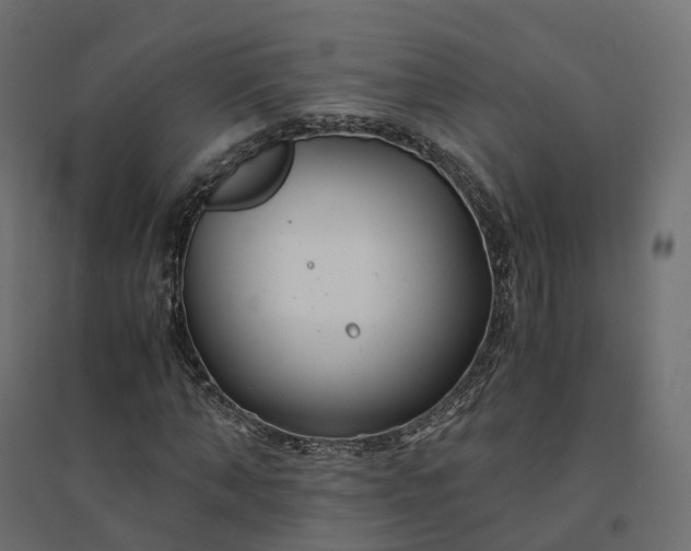 X0000094430870200711211430