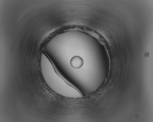X0000094430872200711211430