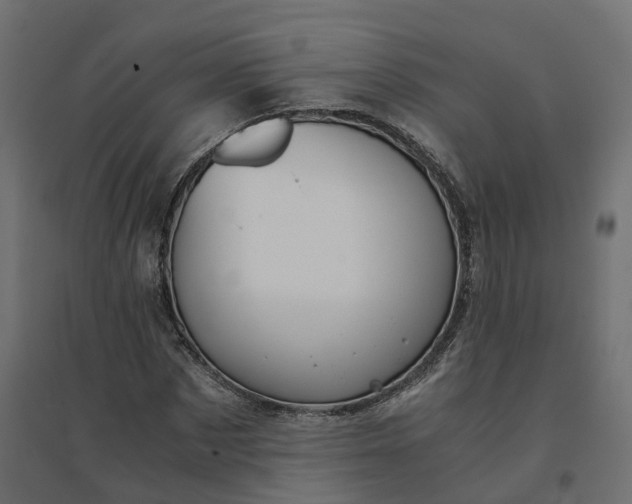 X0000094430873200711211430