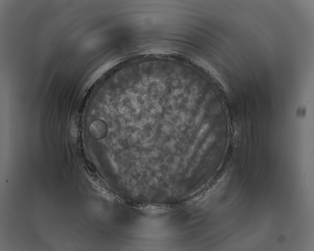 X0000094430874200711211430