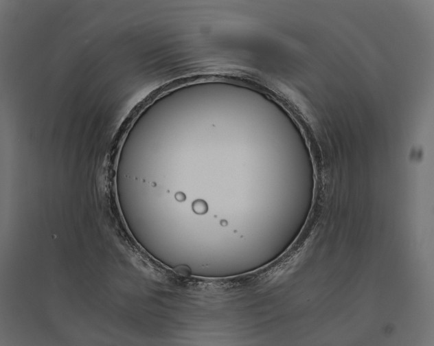 X0000094430875200711211430