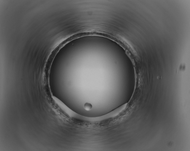 X0000094430876200711211430