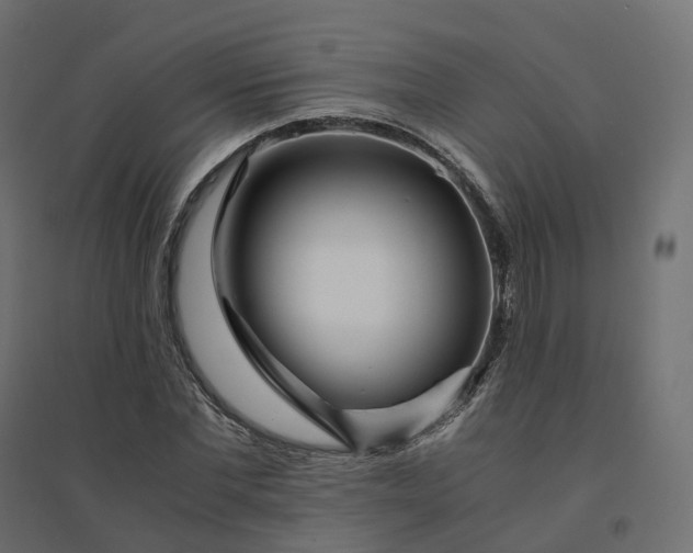 X0000094430877200711211430