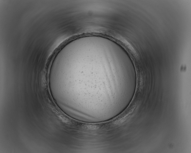 X0000094430878200711211430