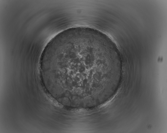 X0000094430879200711211430