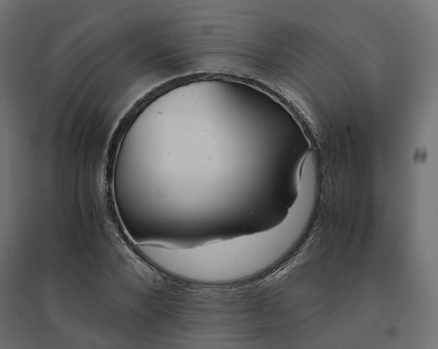 X0000094430880200711211430