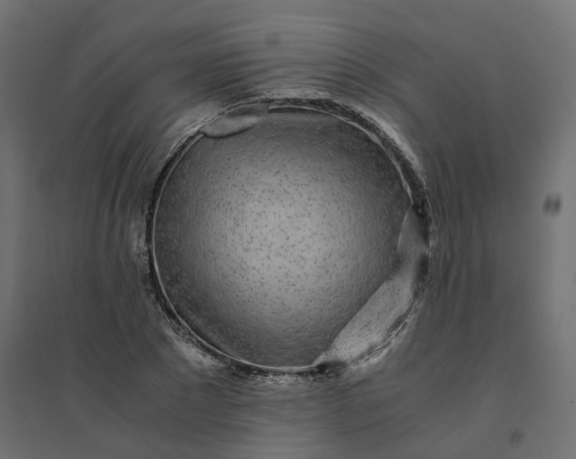 X0000094430881200711211430