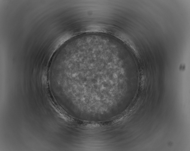 X0000094430882200711211430