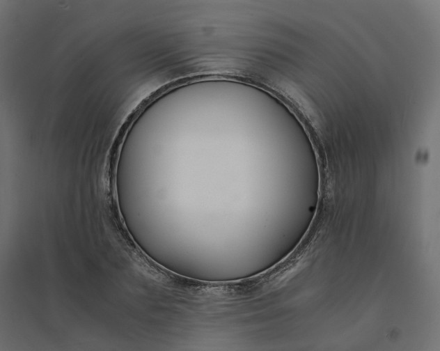 X0000094430883200711211430