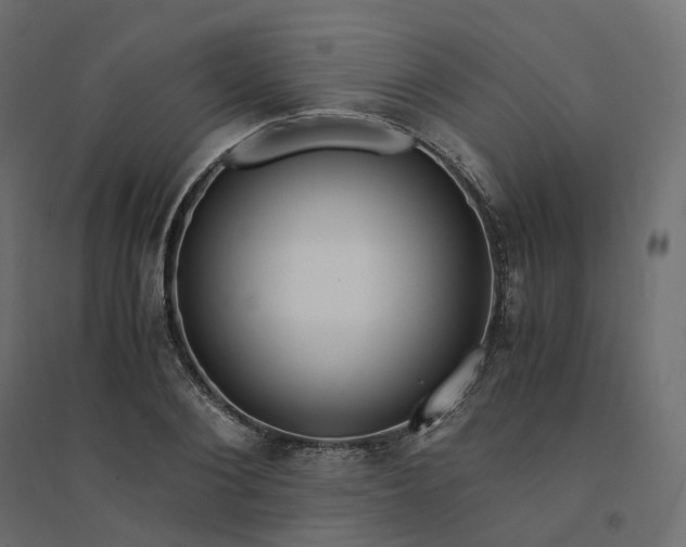 X0000094430884200711211430