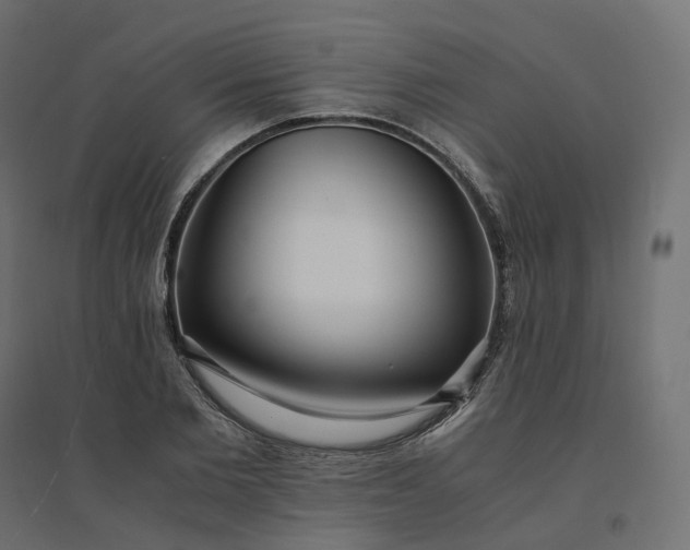 X0000094430885200711211430