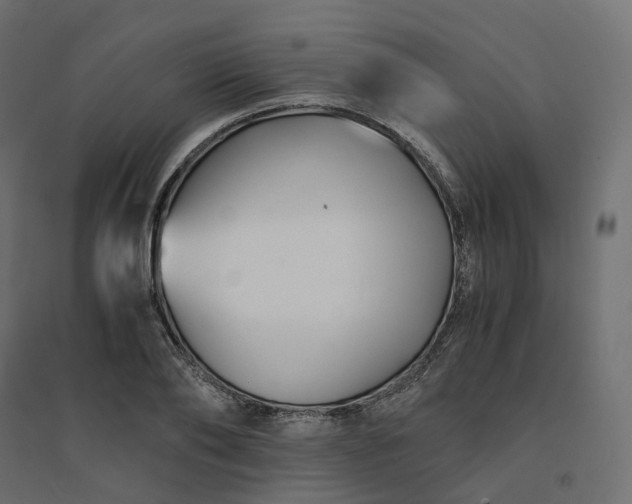 X0000094430886200711211430