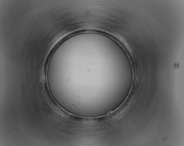 X0000094430887200711211430