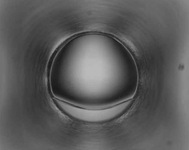X0000094430888200711211430