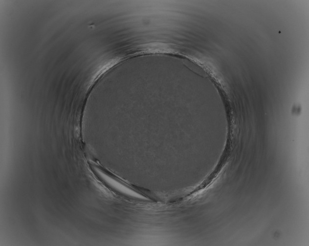 X0000094430889200711211430