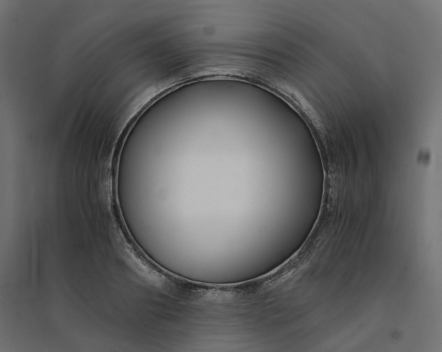X0000094430890200711211430