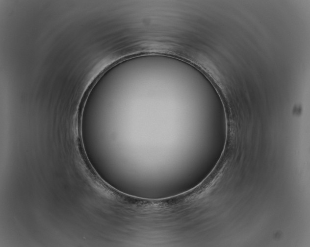 X0000094430891200711211430