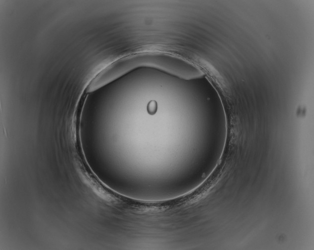 X0000094430892200711211430