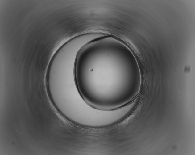 X0000094430893200711211430