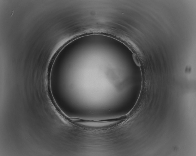 X0000094430894200711211430