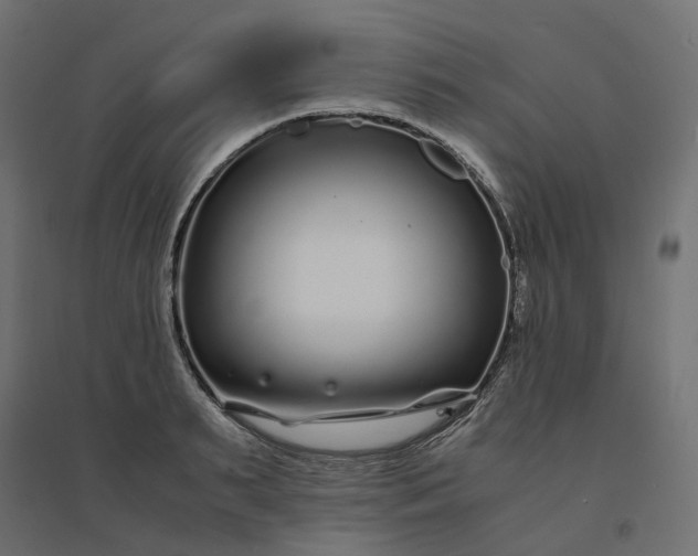 X0000094430895200711211430