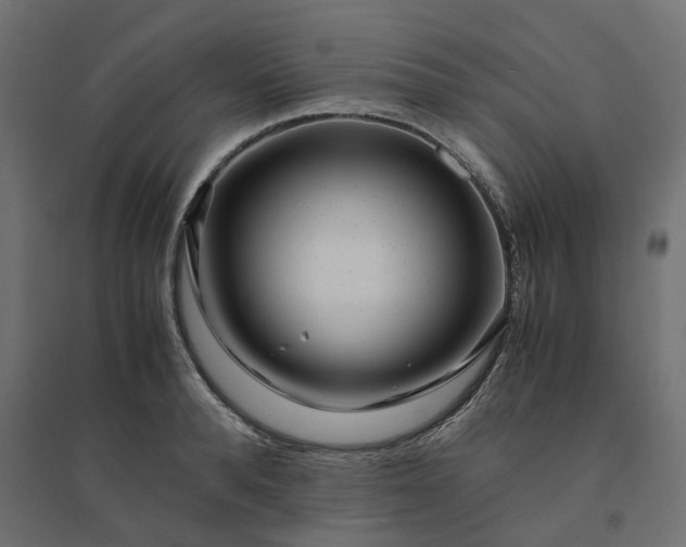 X0000094430896200711211430