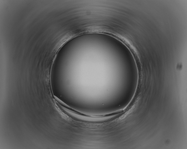 X0000094430897200711211430