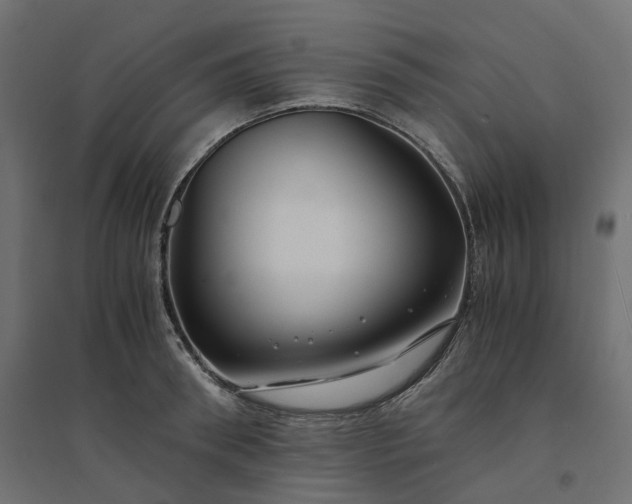 X0000094430898200711211430