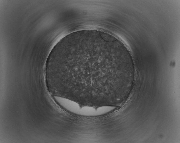 X0000094430899200711211430