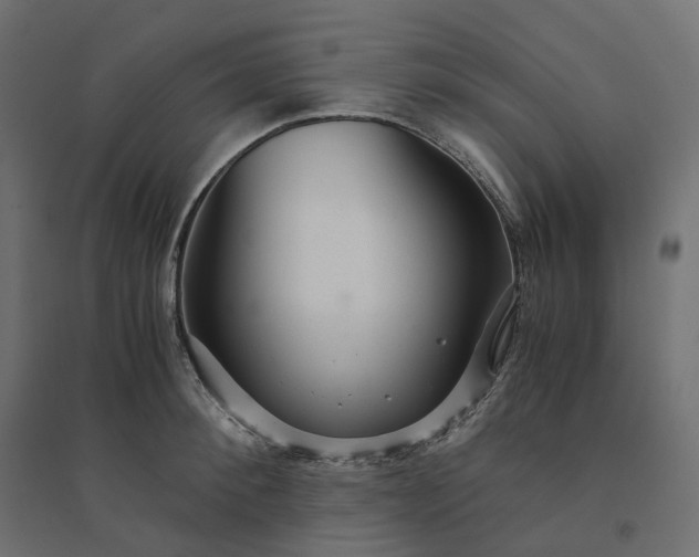 X0000094430900200711211430