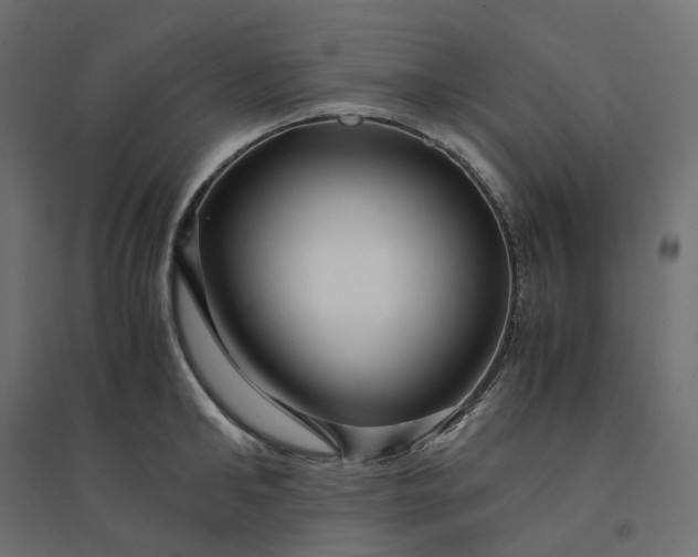 X0000094430902200711211430