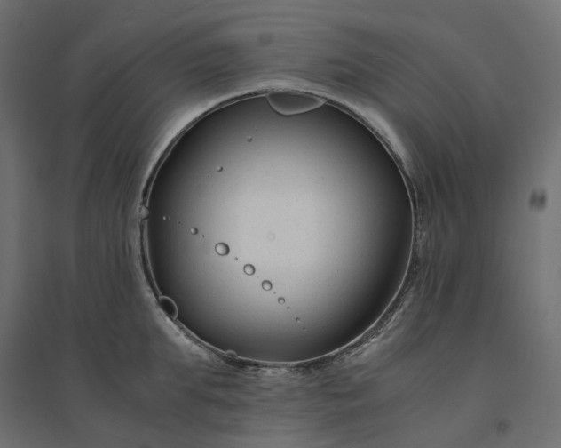 X0000094430903200711211430