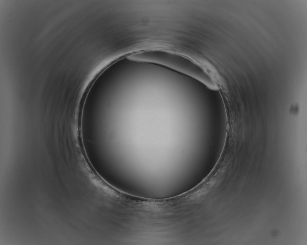 X0000094430904200711211430