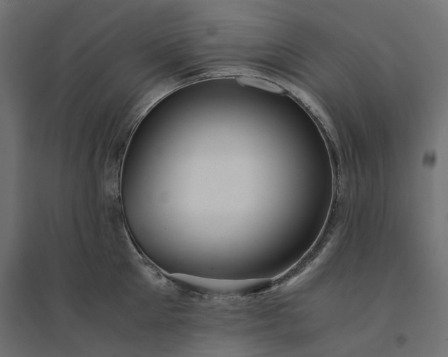 X0000094430905200711211430