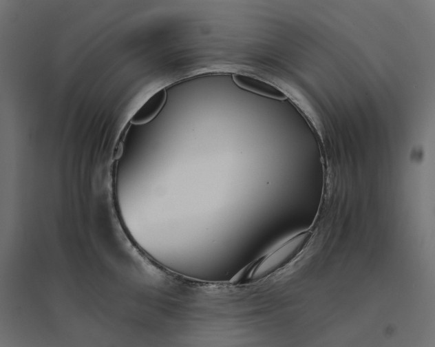 X0000094430906200711211430