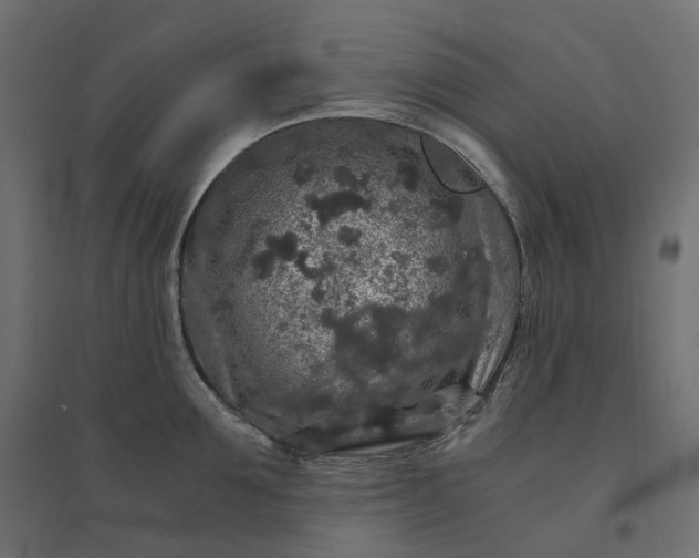 X0000094430907200711211430