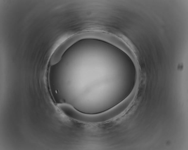 X0000094430909200711211430