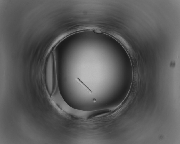 X0000094430910200711211430