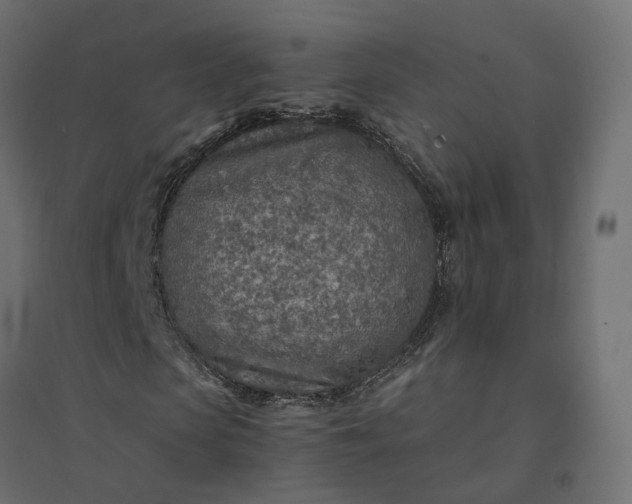 X0000094430913200711211429