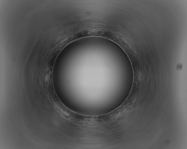 X0000094430914200711211429