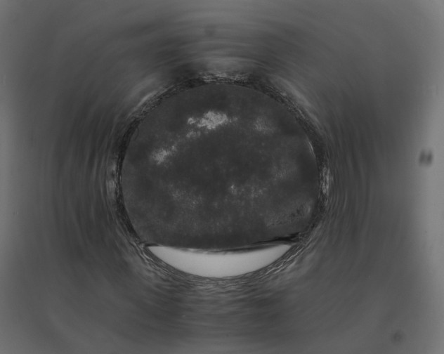 X0000094430915200711211429