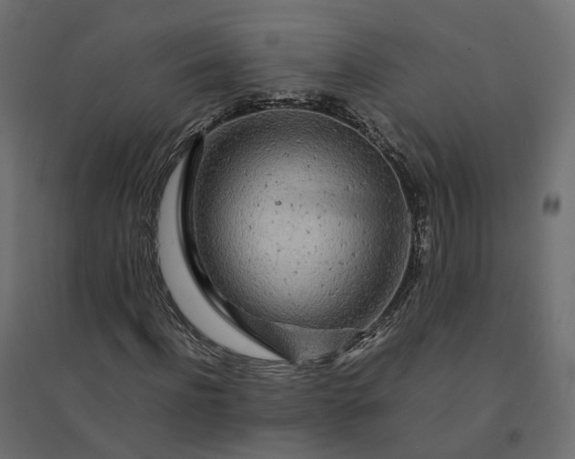 X0000094430916200711211429