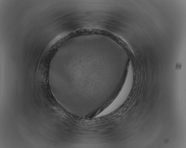 X0000094430919200711211429
